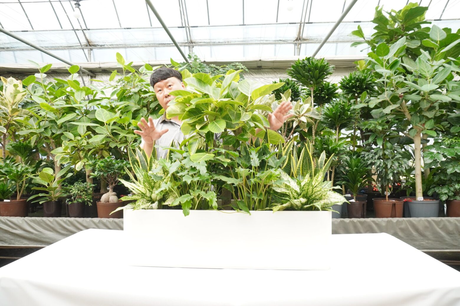 에코피플에서 수경식물 실내정원을 제작하는 과정을 보여주는 사진이다